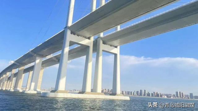 上周末，城阳“海上穿越大桥”环游航线火了！有人专程为它来青岛