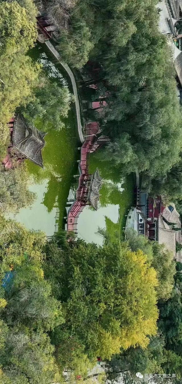 夏日旅行哪里去？甘肃临夏值得你奔赴！