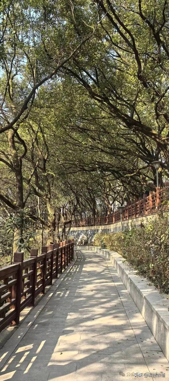 温州园博园将于2月试运营！走，上老虎山看南园北园是什么模样！