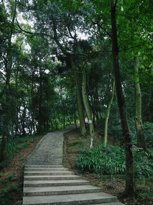 强烈推荐成都1h徒步好去处！亲子遛娃超合适，人少景美还免费