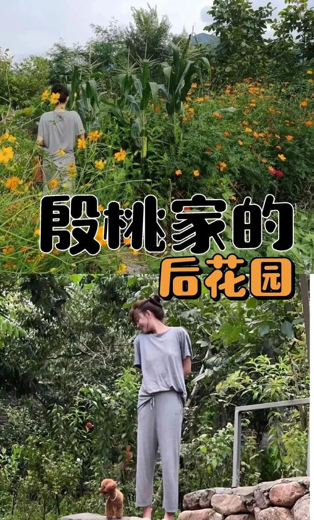 46岁殷桃的“豪宅”又火了，仅一院子就圈粉无数，那叫一个壮观！