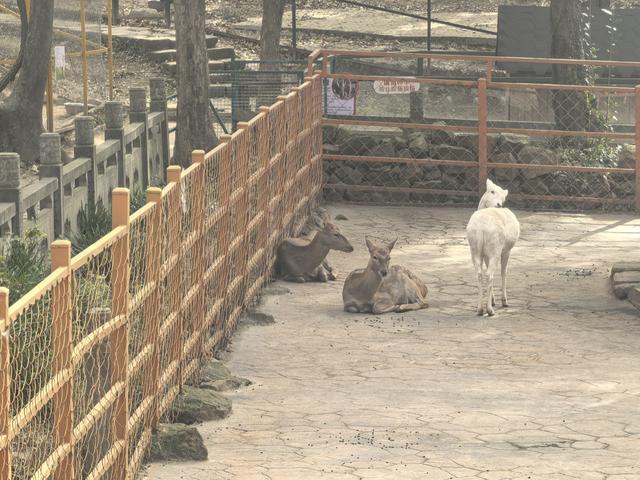 南京栖霞山一日徒步，游千年古刹，看漫山红叶