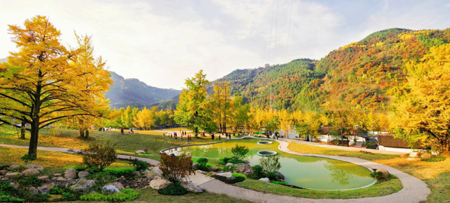 徽县“衣”秒换装！暖乎乎超治愈～