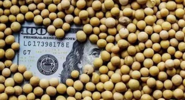 中方下决心，美国2200万吨订单一夜清零？特朗普还是咽不下这口气，对华制裁来了！