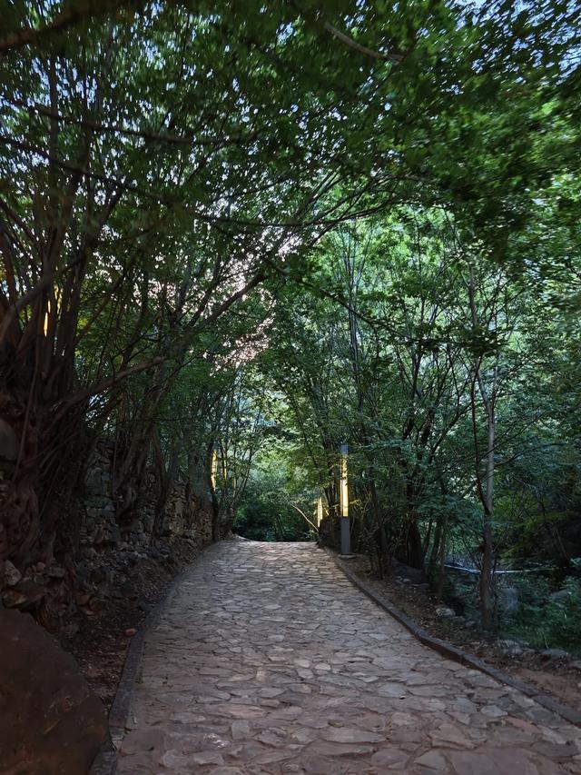 山里避暑