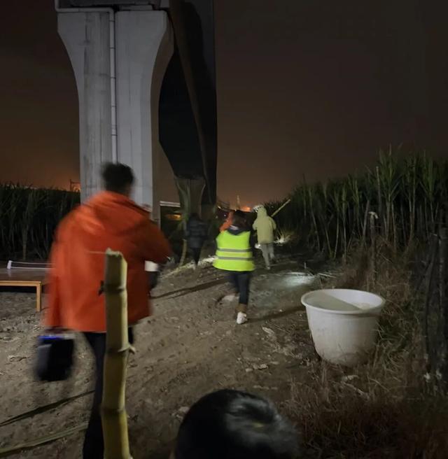 反向旅游神操作！四川眉山9块9自助偷甘蔗火出圈，吊打5A景区？