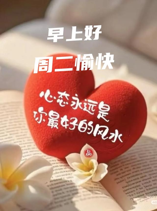 2025年7月29日早上好 早上好温馨问候语 最新早安精美图片 周二愉快