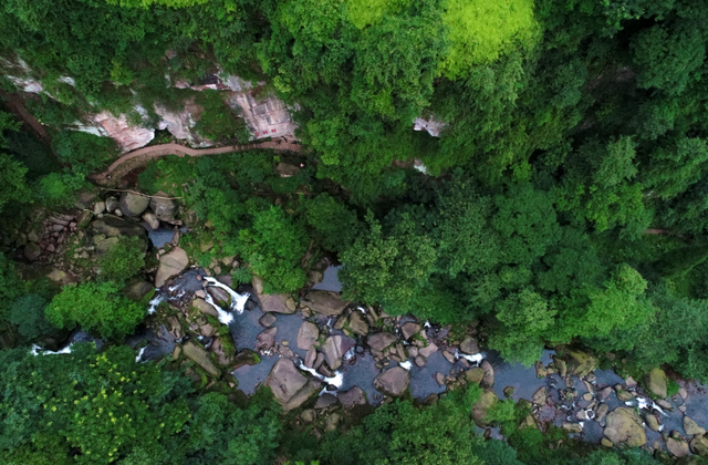 蜀里安逸，花 YOUNG 好礼 | 成都天台山旅游景区新生专属优惠来袭！