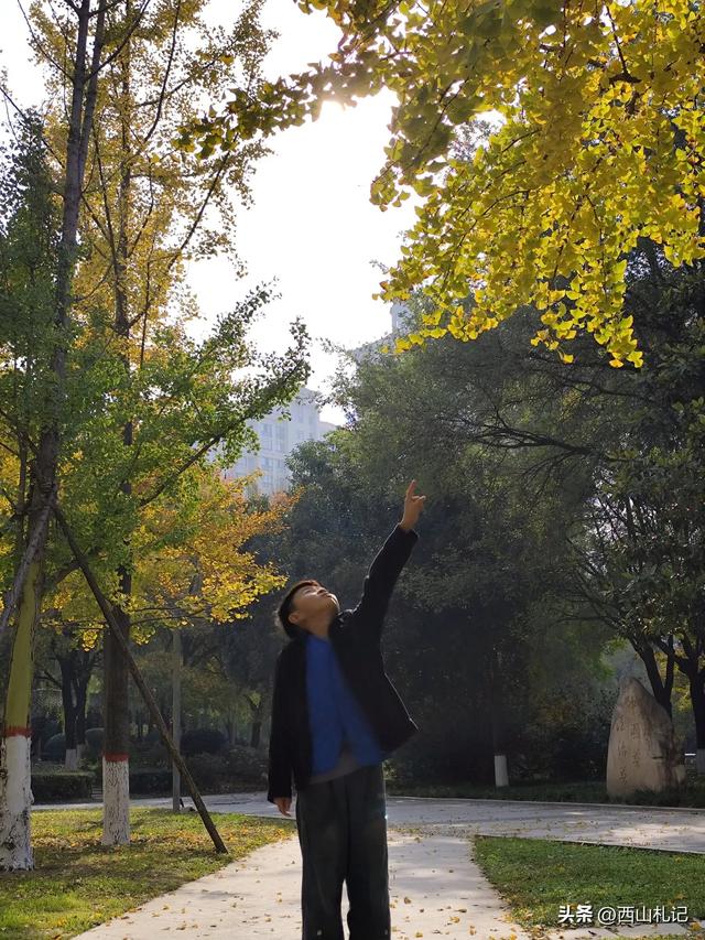五线小城里的银杏大道,美翻全网的深秋景色原来在这里