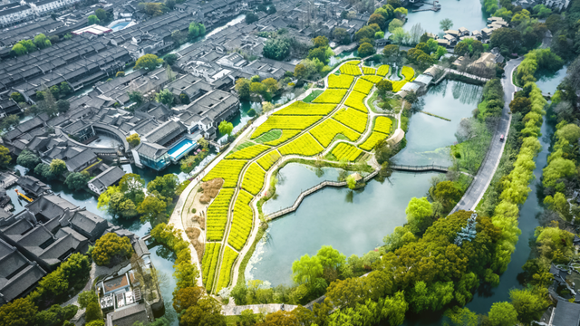 假期结束，年味未减，错峰游乌镇体验最佳！