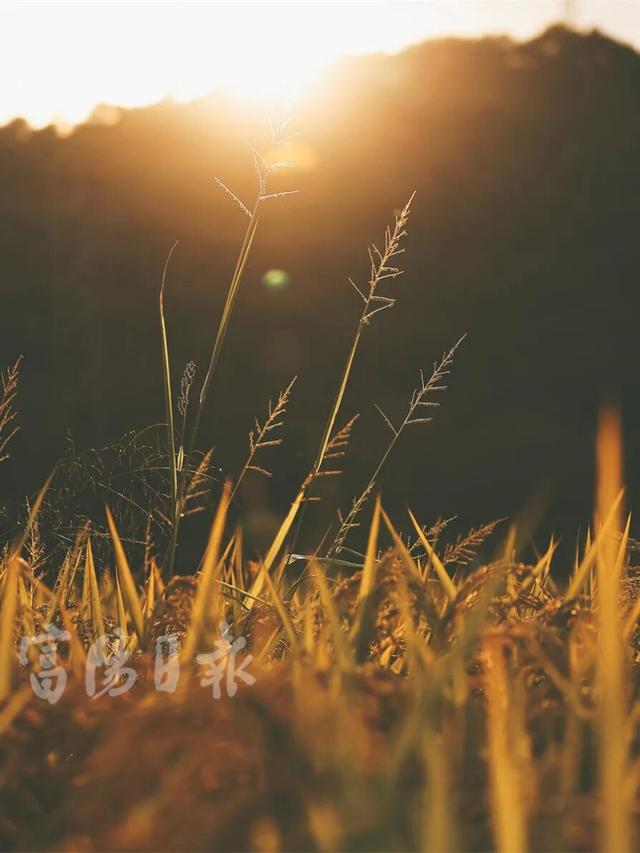 绝了！富阳这条公路，颜值爆表！是时候出动了！
