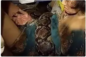 泰国女子被蟒蛇缠绕两小时后幸存图片