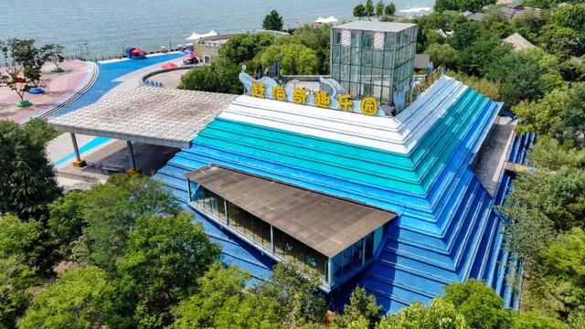 小创意撬动大市场｜“刘家湾赶海”入选第七届“中国服务”·旅游产品创意案例