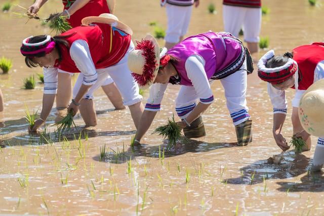 国内这2个省份都被誉为“缩小版的中国”，你认为谁更胜一筹？
