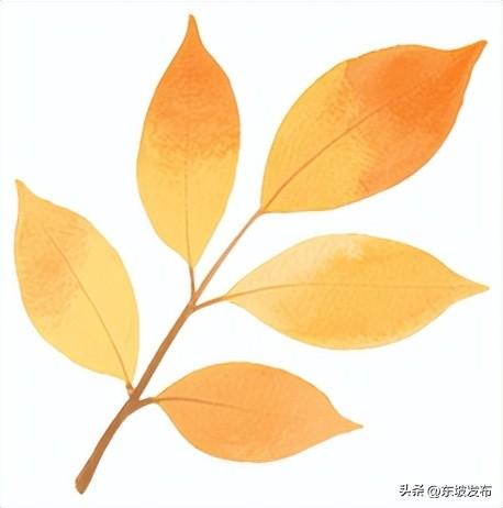 “秋假”来了！到这些地方安逸耍