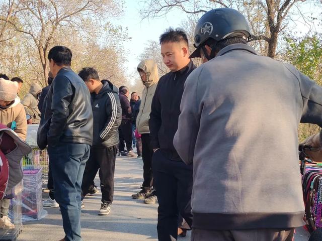 记录德州:岔河河堤上的大集,人山人海,异常热闹