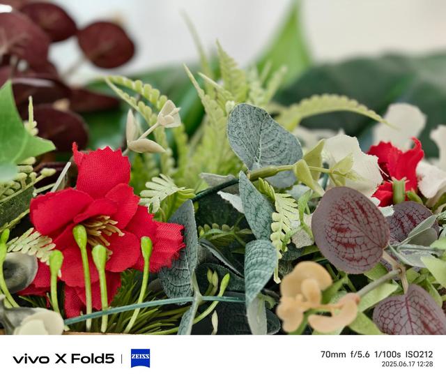 vivo X Fold5评测：苹果的好搭子