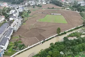 仁怀市五马镇11500亩油菜移栽忙图片