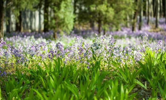 我今年56岁才顿悟，男人没了女人就2个字	，女人没了男人就4个字！