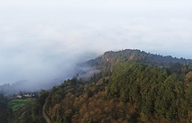 地名里的重庆 | 在涪陵江东寻巴人遗风，访雨台古韵