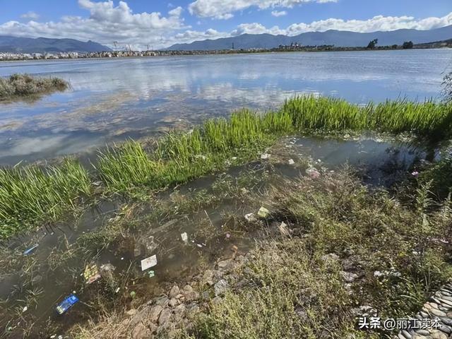 文笔海这么美，那些乱丢垃圾的，你怎么忍心?！
