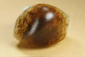 29.9万成交，一个顶级秋梨皮籽料图片