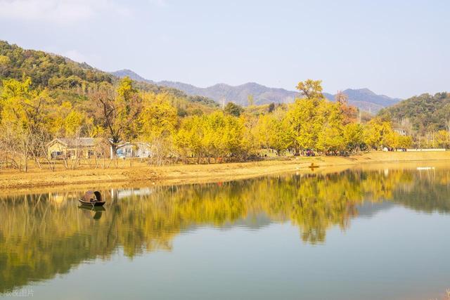 11月，去赏银杏吧！8个高颜值赏秋地，速来拍美照，挑一个就出发