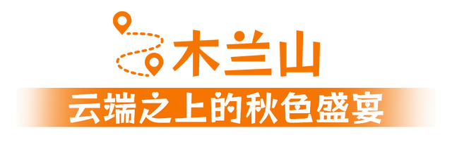 寒潮要来！黄陂最后的秋色等你来打卡！