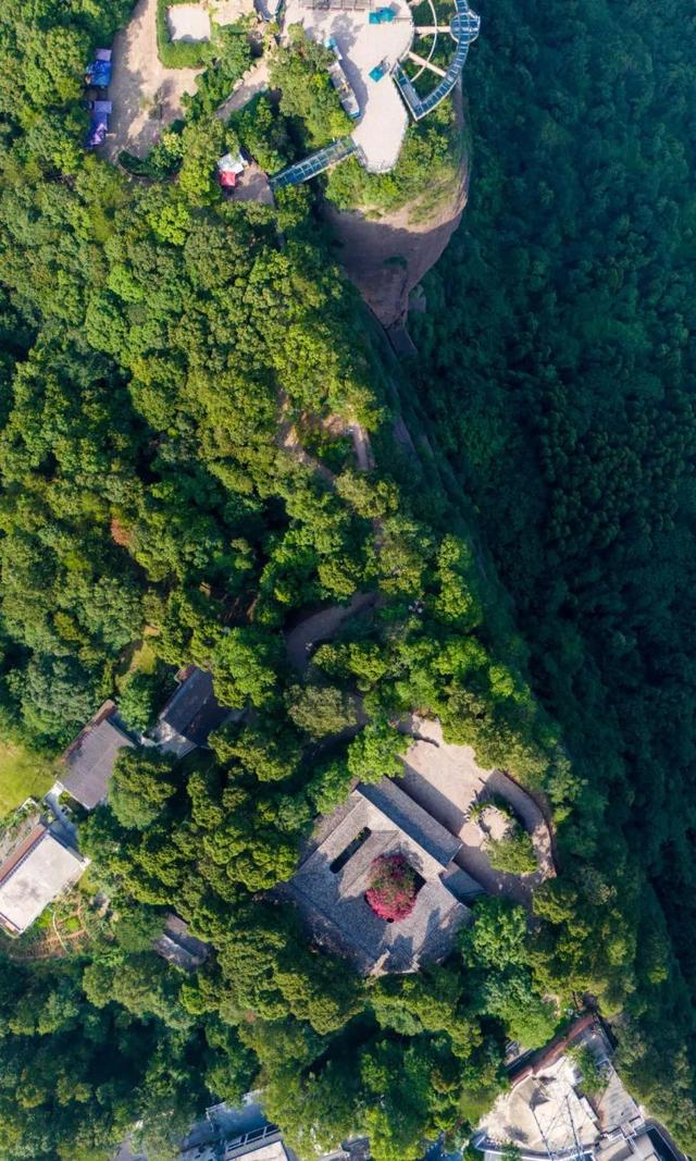 剑门关夏日壁纸上新！满屏生命力随手即拍~