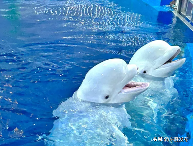 速来！半价特惠！