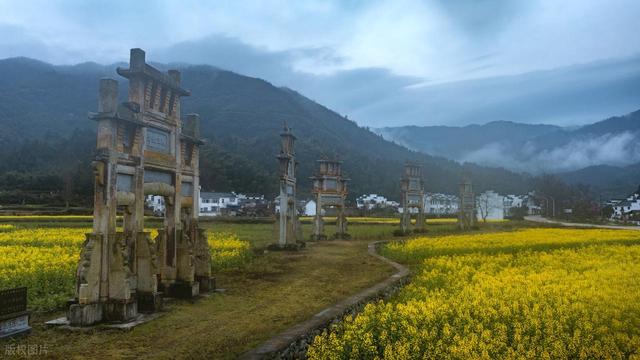 别被“赏花列车”骗了！这3趟才是真的开往春天，剩下的只是噱头