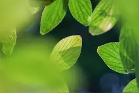 在利益和钱的面前，人性是赤裸裸的图片