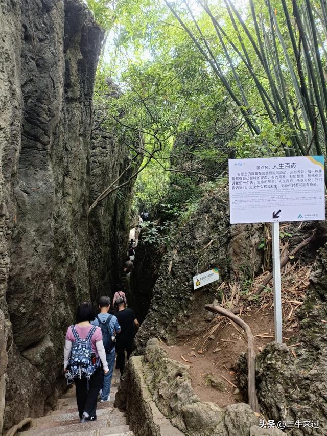 无为在歧路，贵州六日行（8）～黄果树