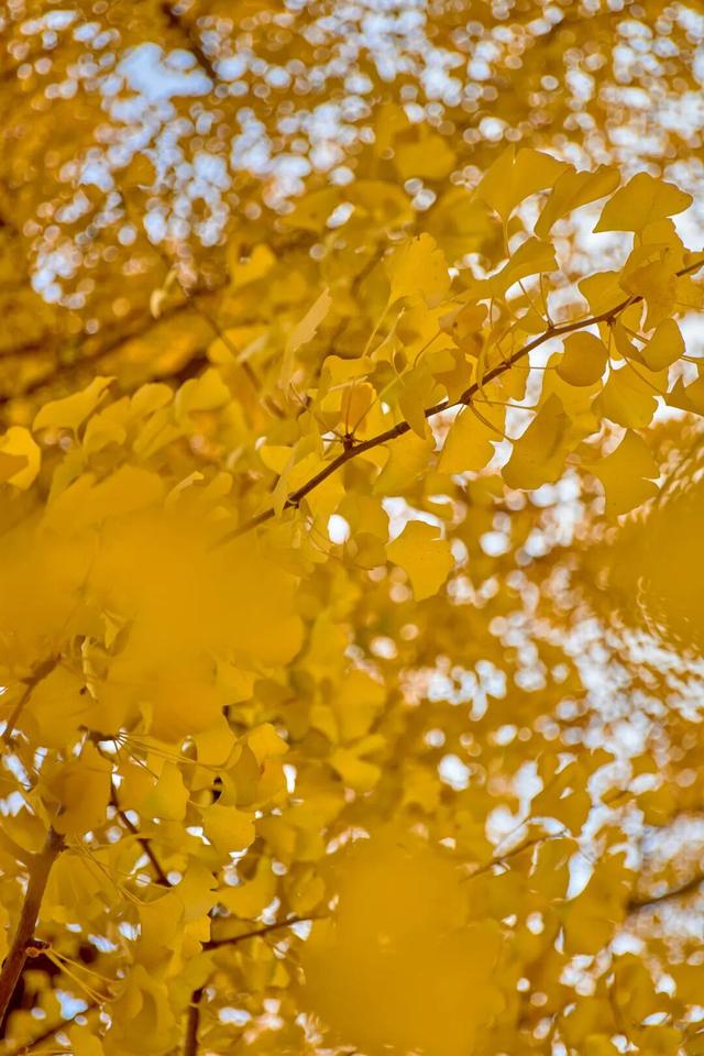 太全面了！8条游玩线路+京郊汤泉！带您玩转北京这里！（1）