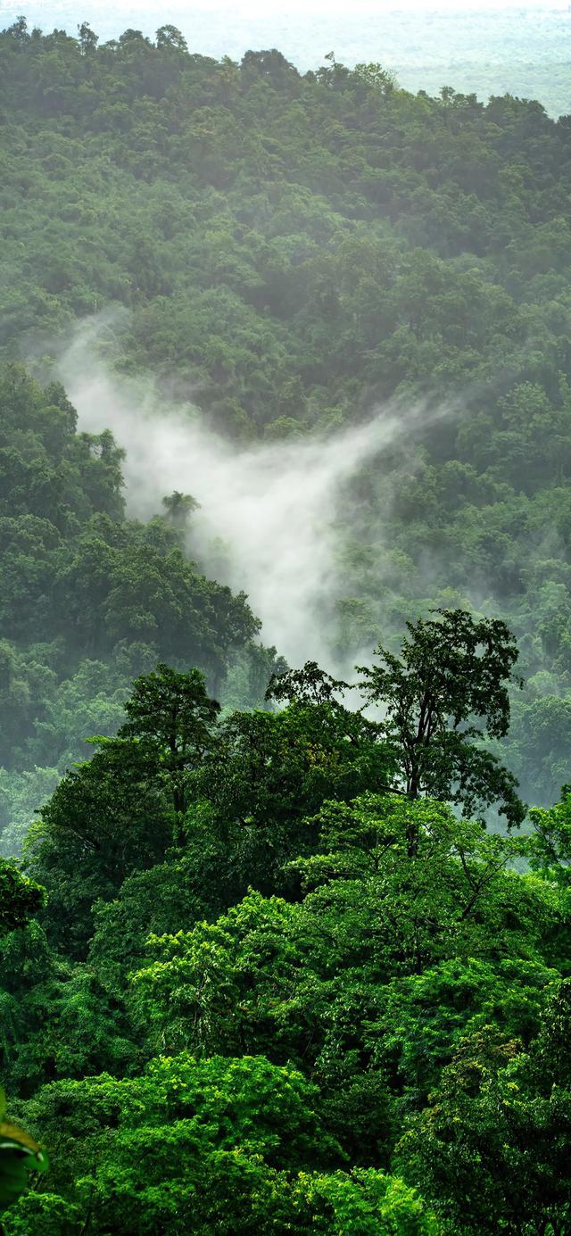 手机壁纸|美丽的自然景色
