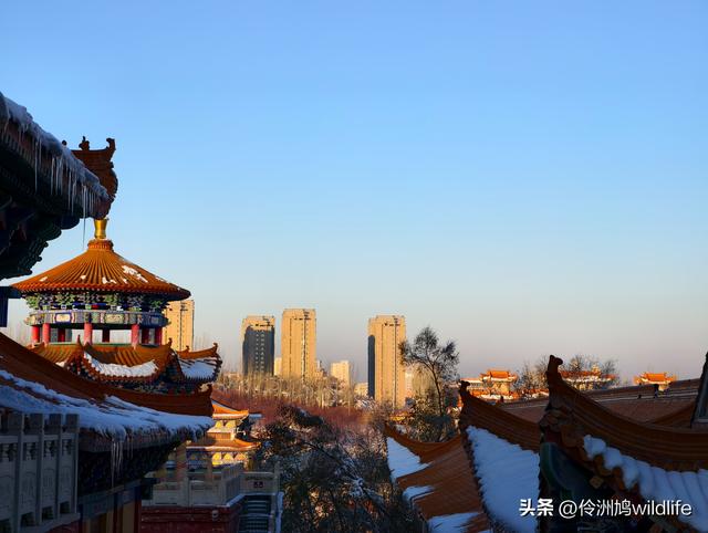 新疆乌鲁木齐红光山大佛寺