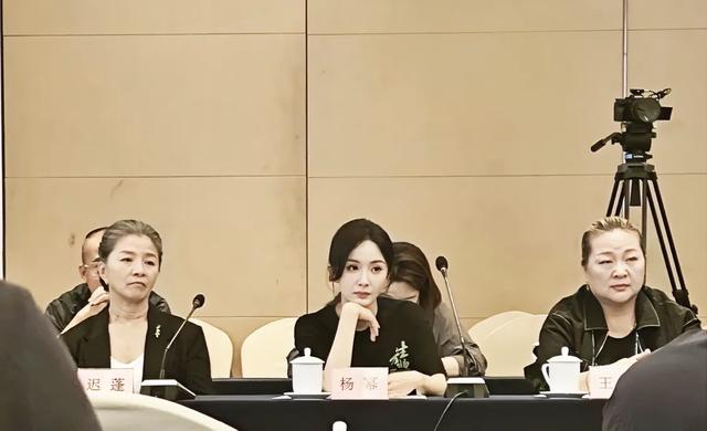 杨幂在研讨会上站C位，她的发言很真挚，迟蓬老师坐她旁边很漂亮