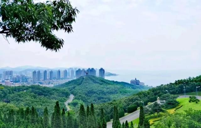 探春金普·寻芳图第五站！海风已至！炮台山×童牛岭樱海将绽！