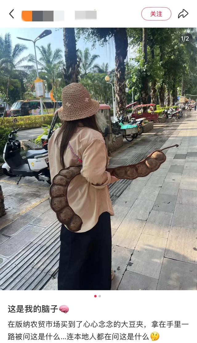 这可能是我买过的最离谱的特产: