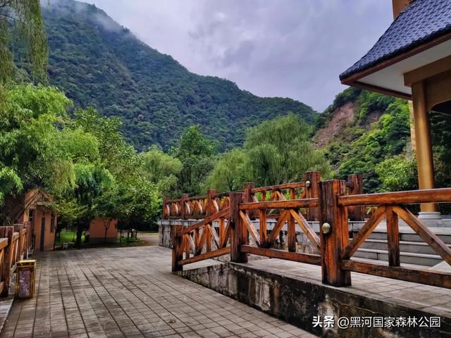 来一场「云赏黑河」之旅！听雨观山，神游林海