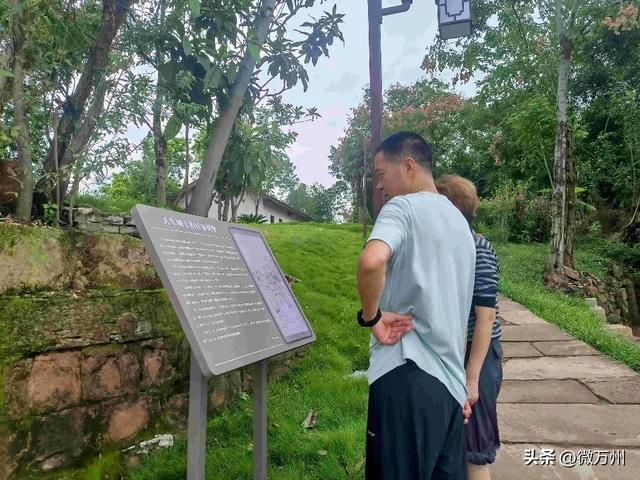 三天涌入1.8万人次！万州这里爆火！你去打卡没？