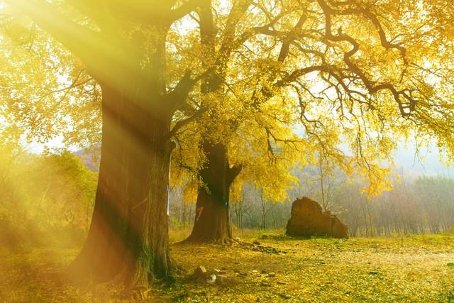 今日小雪初晴，襄阳变身美拉德色系的山水画框！