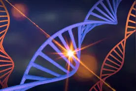 孙子的基因有多少来自爷爷？你身体里还有2000年前你祖先的基因吗图片