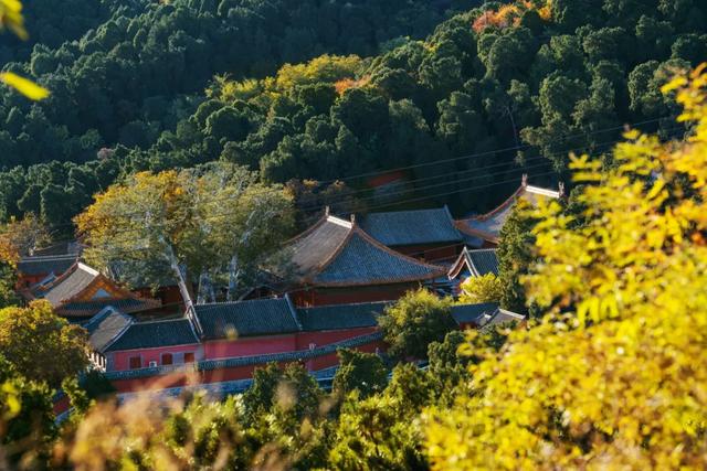 收藏一个秋天,石景山绝美秋色大公开