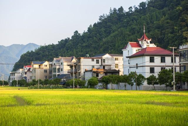 农村宅基地改革定调！中央文件3句话，买卖难题终结？