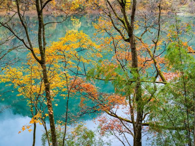 四川石棉县拖乌山：初冬时节的多彩绝唱