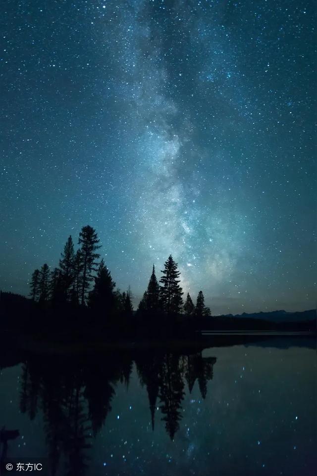 仲夏之夜