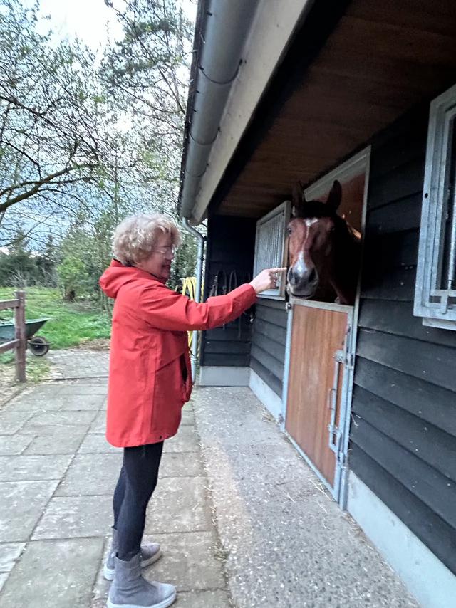 《再见，荷兰》