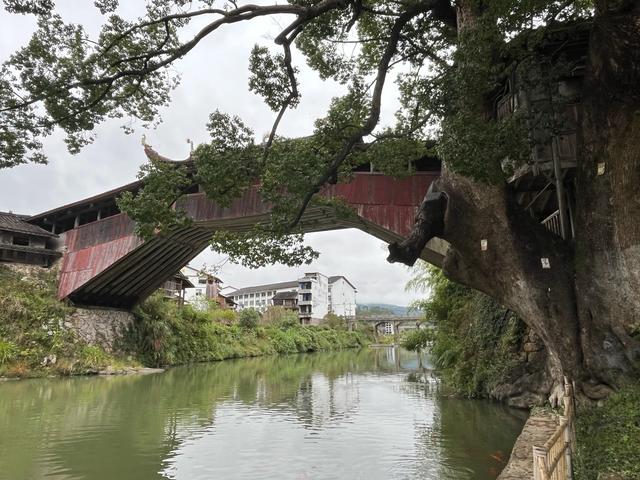 退休夫妻自驾温州泰顺之仕水古镇、胡氏大院、廊桥文化园