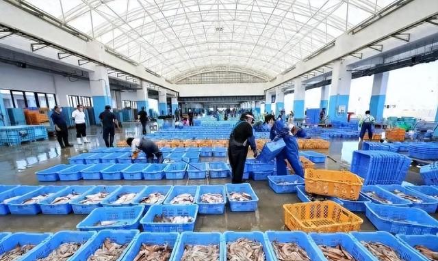 中日关系紧张之际	，俄罗斯公然接待日本高层，普京要远离中国了吗？